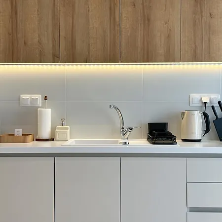 Luxury Downtown Guya דירה *